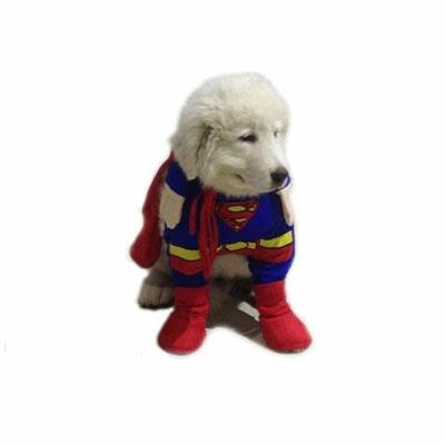 COSTUME PET SUPERMAN TG. XL