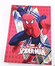 DIARIO STANDARD SPIDERMAN