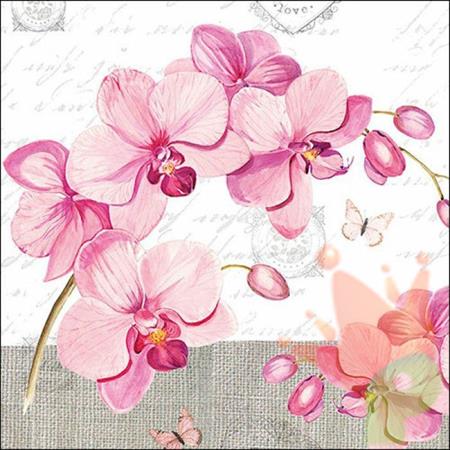 TOVAGLIOLI 33X33 ORCHIDS WITH LOVE 20PZ