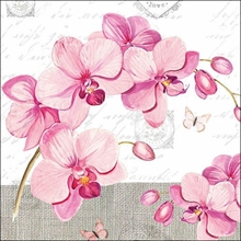 TOVAGLIOLI 33X33 ORCHIDS WITH LOVE 20PZ