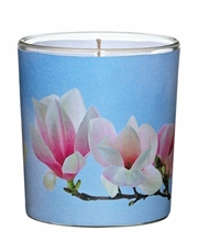 CANDELA VASO IN VETRO D.7,1XH.7,8 MAGNOLIE