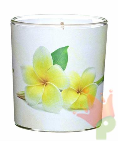 CANDELA VASO IN VETRO D.7,1X7,8CM FRANGIPANI