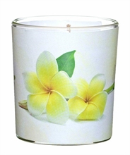 CANDELA VASO IN VETRO D.7,1X7,8CM FRANGIPANI