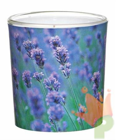 CANDELA VASO IN VETRO D.7,1X7,8CM VANILLE-LAVENDEL