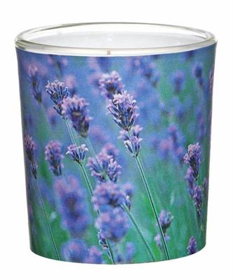 CANDELA VASO IN VETRO D.7,1X7,8CM VANILLE-LAVENDEL