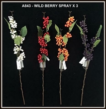 WILD BERRY SPRAY