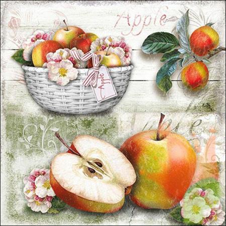 TOVAGLIOLI 33X33 APPLE BASKET 20PZ