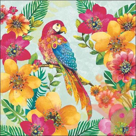 TOVAGLIOLI 33X33 3V TROPICAL PARROT 20PZ