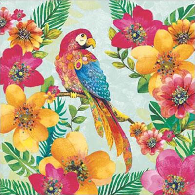 TOVAGLIOLI 33X33 3V TROPICAL PARROT 20PZ