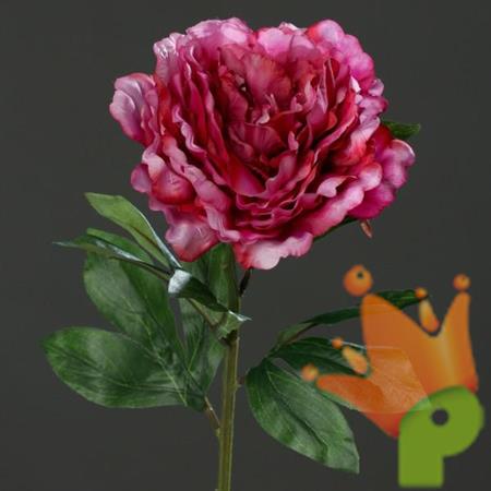 PEONIA SPRAY 63CM FUCSIA