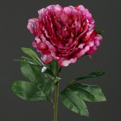 PEONIA SPRAY 63CM FUCSIA