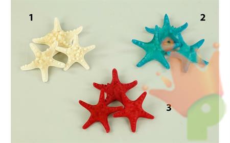 STELLE MARINE 10CM ROSSO N.3