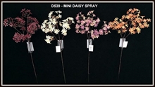 MINI DAISY SPRAY