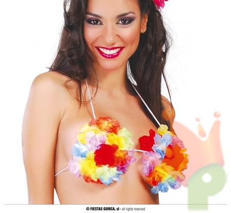 REGGISENO HAWAIANO