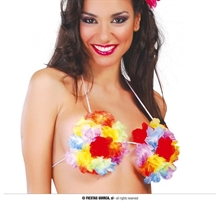 REGGISENO HAWAIANO