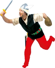 COSTUME ASTERIX ADULTO TAGLIA 56 58