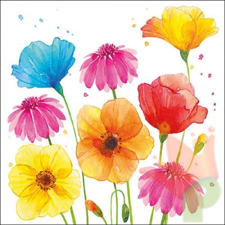 TOVAGLIOLI DECORO FIORI ESTIVI COLORATI 33X33 CM 20 PZ