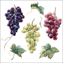 TOVAGLIOLI DECORO UVA DA VINO 33X33 CM 20 PZ