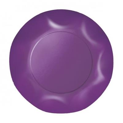 PIATTI PIANI VIOLA 10 PZ 25 CM