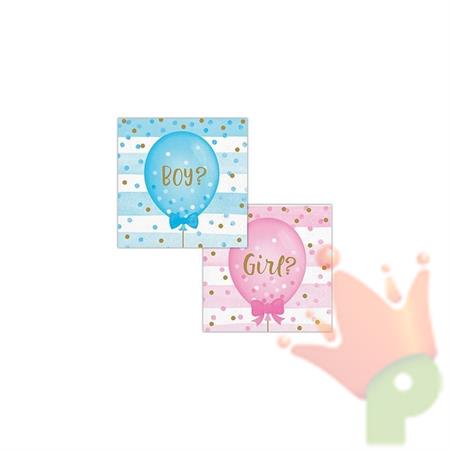 TOVAGLIOLI GIRL OR BOY GENDER REVEAL 25X25 CM 16 PZ