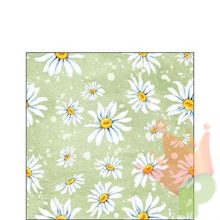 TOVAGLIOLI 3V 25X25 DAISIES GREEN 20PZ