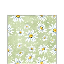 TOVAGLIOLI 3V 25X25 DAISIES GREEN 20PZ