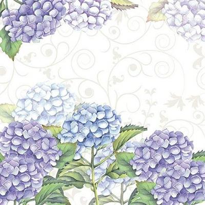 TOVAGLIOLI 3V 33X33 HORTENSIA 20PZ