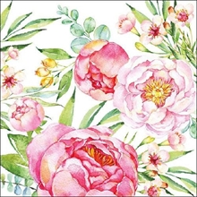 TOVAGLIOLI 3V 33X33 PEONY 20PZ