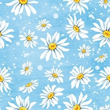 TOVAGLIOLI 3V 33X33 DAISIES BLUE 20PZ