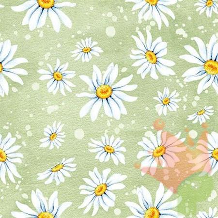 TOVAGLIOLI 3V 33X33 DAISIES GREEN 20PZ