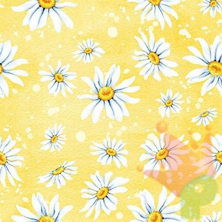 TOVAGLIOLI 3V 33X33 DAISIES YELLOW 20PZ