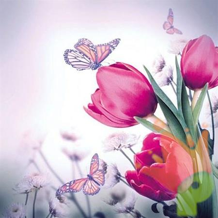 TOVAGLIOLI 33X33 3V BUTTERFLY & TULIPS 20PZ