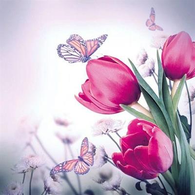 TOVAGLIOLI 33X33 3V BUTTERFLY & TULIPS 20PZ