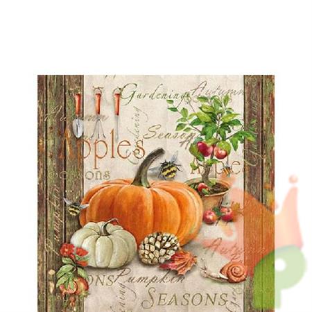 TOVAGLIOLI 25X25 3V AUTUMN GARDENING 20PZ