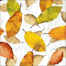 TOVAGLIOLI 33X33 3V GOLDEN AUTUMN 20PZ