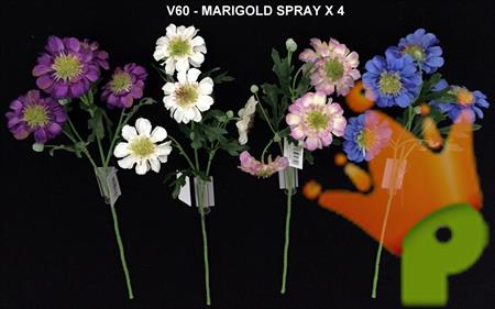 MARIGOLD SPRAY X4