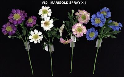 MARIGOLD SPRAY X4