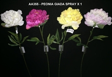 PEONIA GIADA SPRAY