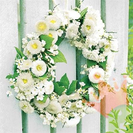 TOVAGLIOLI 33X33 3V WREATH OF BELLIES WHITE 20PZ