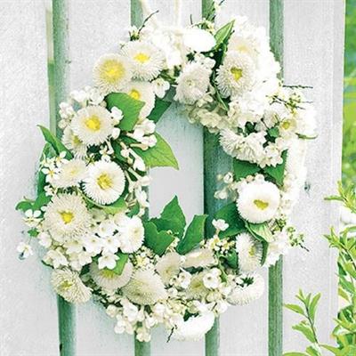 TOVAGLIOLI 33X33 3V WREATH OF BELLIES WHITE 20PZ