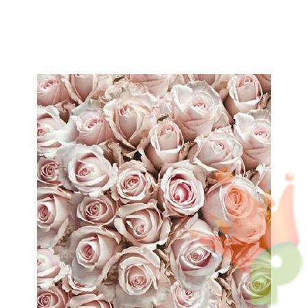 TOVAGLIOLI 25X25 3V PASTEL ROSES 20PZ