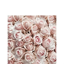 TOVAGLIOLI 25X25 3V PASTEL ROSES 20PZ