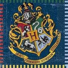 TOVAGLIOLI 33X33 HARRY POTTER 16PZ